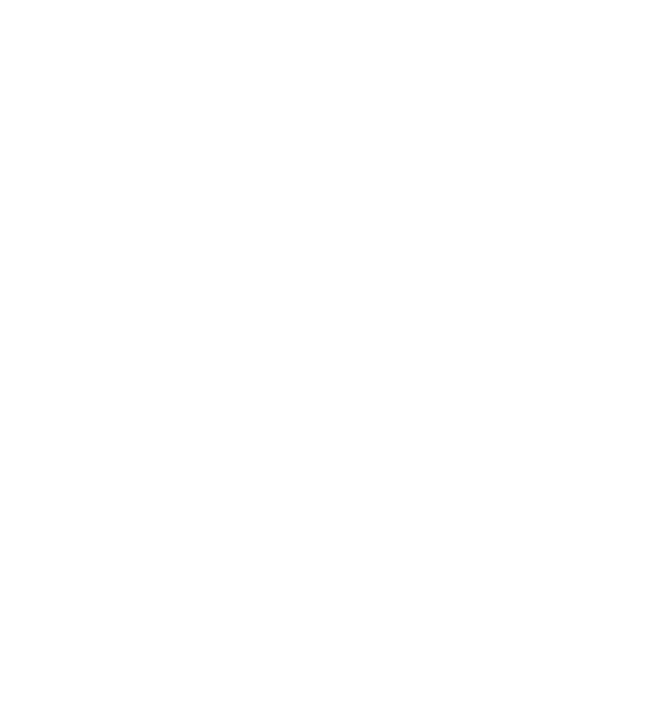 FlowFrame logo